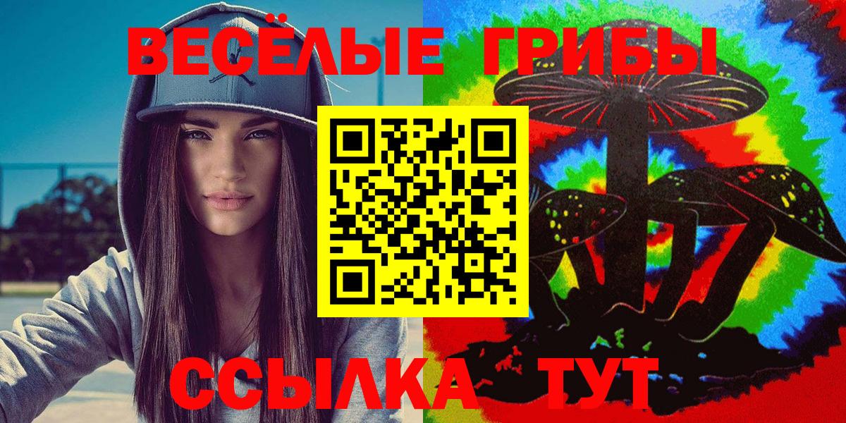 Можга  Галлюциногенные грибы GOLDEN TEACHER  Вход с VPN  Псилоцибиновые грибы Cubensis 