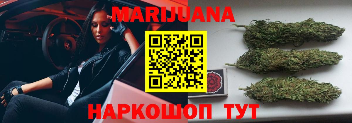 Бошки Шишки Bruce Banner  Каннабис индика  Каннабис планчик  Вход с VPN  Бошки марихуана тримм  Можга 